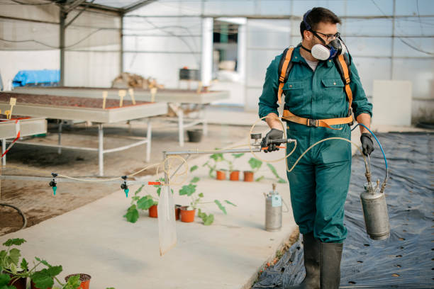 farmer applying pesticides in a greenhouse